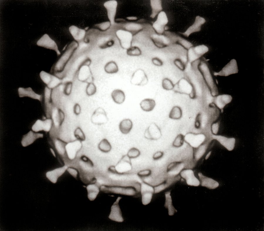 Rotawirus wywołujący grypę żołądkową